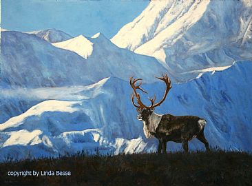 Morning Glory - Caribou by Linda Besse