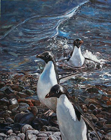 Shore Leave - Adelie penguins by Linda Besse