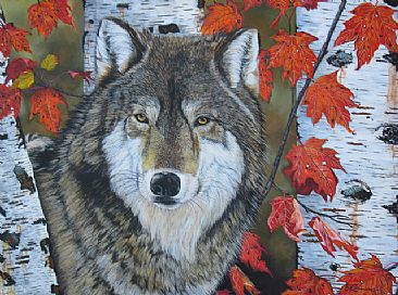 Eyes of Autumn - Grey Wolf by Craig Lomas