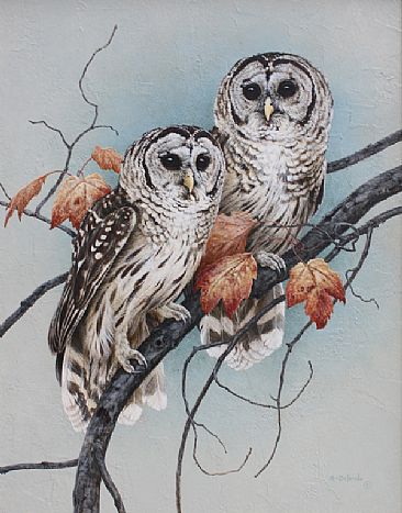 Matted Pair - Barred Owls by Ron Orlando