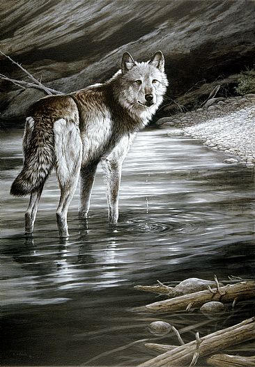Broken Silence - Wolf by Ron Orlando