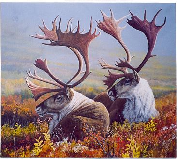 Tundra Autumn - Caribou by Michelle Mara