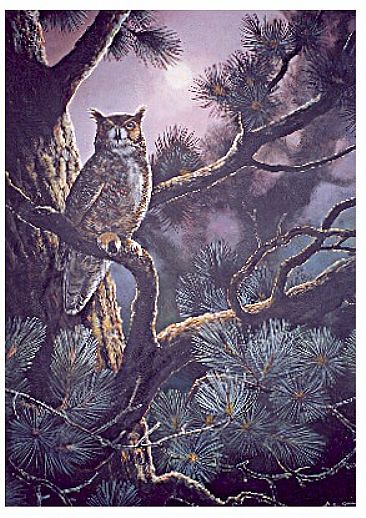 From Deep in the Forest - Great-horned Owl by Michelle Mara