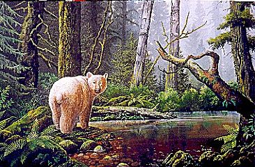 Spirit of the Rainforest - Kermode Bear by Michelle Mara