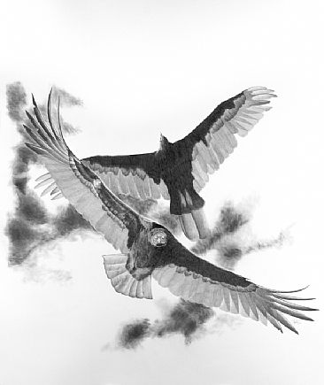 Anticipation - Turkey Vultures by Stuart Arnett