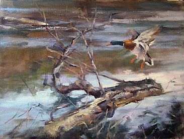 Evening Refuge - Waterfowl by Peggy Watkins