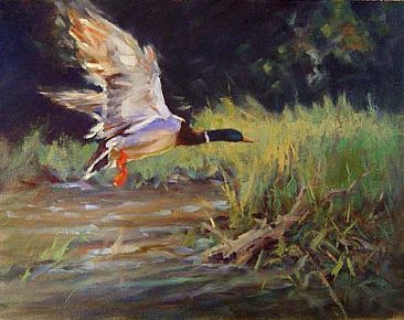 Finding Cover - Waterfowl by Peggy Watkins