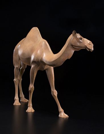 Dromedary - Dromedary Camel by  Rosetta