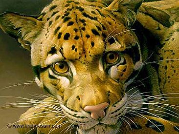 A Leopard to Gaze At / Canvas Giclée - Clouded Leopard by Linda Rossin