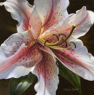 Radiance (Sold) - Lily by Linda Rossin