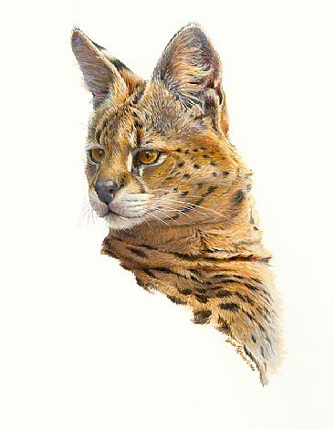 Spirited - Serval by Linda Rossin