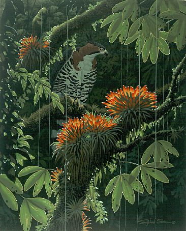 Hunter In The Shadows - Ornate Hawk Eagle by Richard Sloan (1935-2007)
