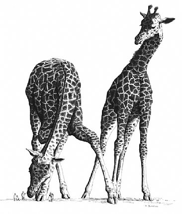 Emissaries - Giraffes by Kirsten Bomblies