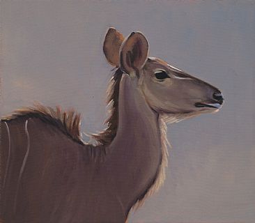 Kudu Study - Greater African Kudu by Eva Van Rijn