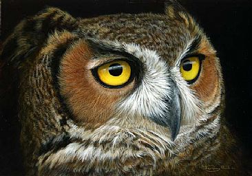 Great horned owl -  by Jeremy Paul