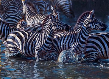 Dark Water - Zebra Herd by John Banovich