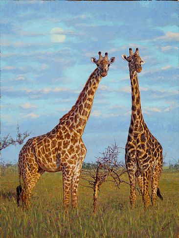 Early Moon - Giraffe by John Banovich
