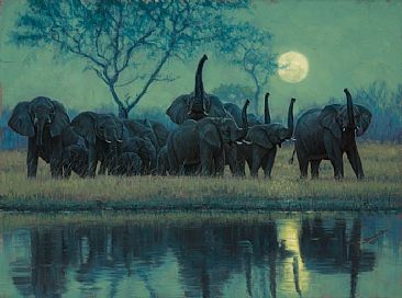 Testing the Night Wind - Elephants by John Banovich
