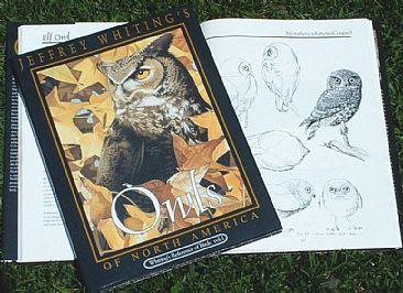 Owls of North America - Owls by Jeffrey Whiting