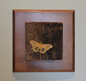 Nocturnal Beauty - Polyphemous Moth by David Bruce Johnson