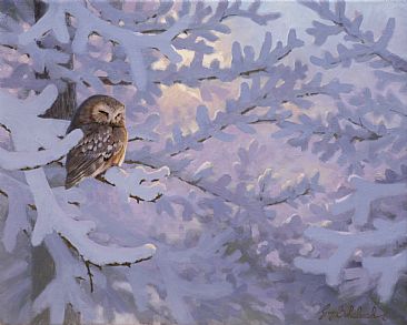 Saw Whet Owl -  by Guy Coheleach