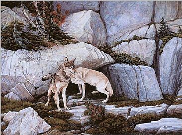 L160  Sanctuary (Wolves) - Wolves by Mel Dobson