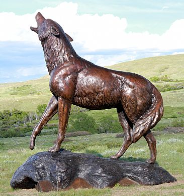 ''WILD SONG''  - Monumental bronze Coyote Howling  by Chris Navarro