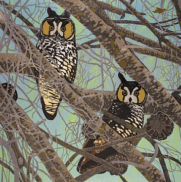 Long Eared Owls - Long Eared Owls by Andrea Rich