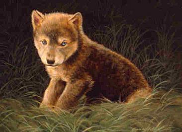 Future Alpha - Timber Wolf Puppy by Jeanne Filler Scott