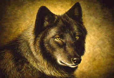 The Look of the Wild  - Timber Wolf by Jeanne Filler Scott