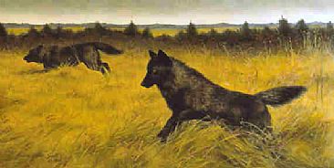 Mousing—Timber Wolves  - Timber Wolves by Jeanne Filler Scott