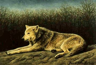 The Sun-Warmed Rock  - Timber Wolf by Jeanne Filler Scott