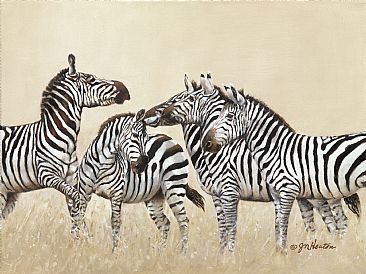 The Altercation - Zebras by Janet Heaton