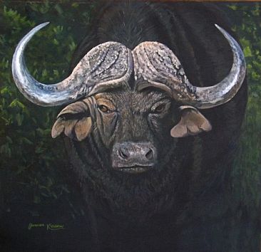 Herd Bull - CAPE BAFFALO by James Kiesow