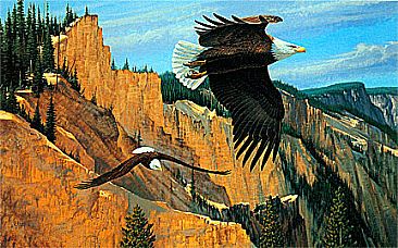 Canyon Sentries - Bald Eagles by Robert Kray