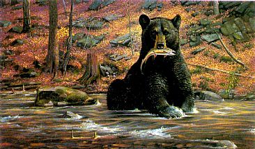 The Prize - Black Bear by Robert Kray