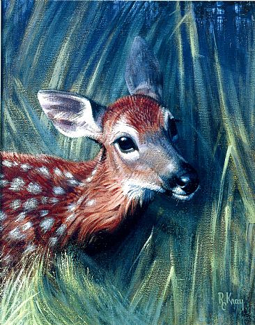 Whitetail Fawn - Fawn by Robert Kray