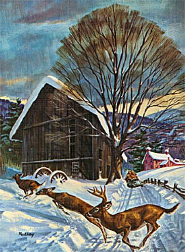 Whitetails and Winter - Whitetail Deer by Robert Kray