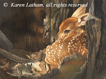 Hidden - Whitetail Fawn - Whitetail Fawn  by Karen Latham