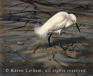 Snowy Egret - Snowy Egret by Karen Latham