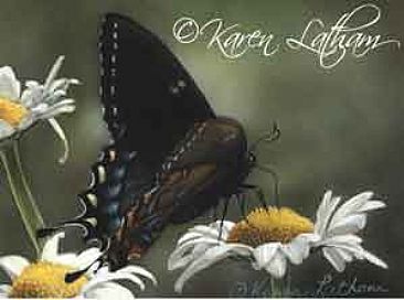 Swallowtail Among the Daisies - Swallowtail Butterfly by Karen Latham
