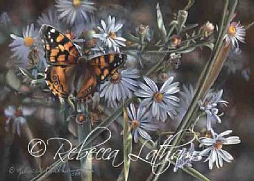 Butterfly and Asters - Butterfly and Asters by Rebecca Latham