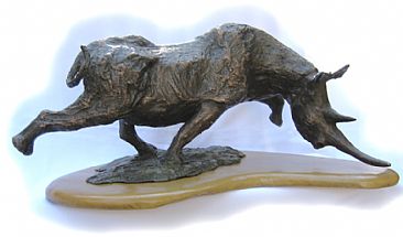 RHINO - Rhino by Terry Mathews