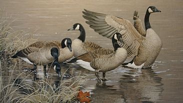 5 Goose - Goose by Patricia Pepin