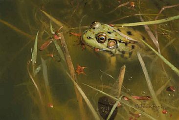 Quietude - frog by Patricia Pepin