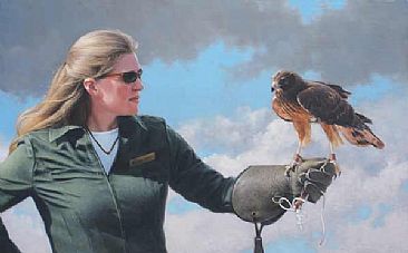 Raising Awareness - Marsh hawk by Patricia Pepin