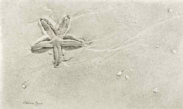 Starfish - Starfish by Patricia Pepin