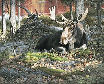 Woodland Giant - Moose by Patricia Pepin