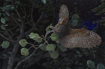 SALLY-GLEANING--FLAMMULATED OWL - Flammulated Owl by Carel Brest van Kempen