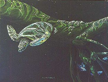 Fly River Turtle -  by Carel Brest van Kempen